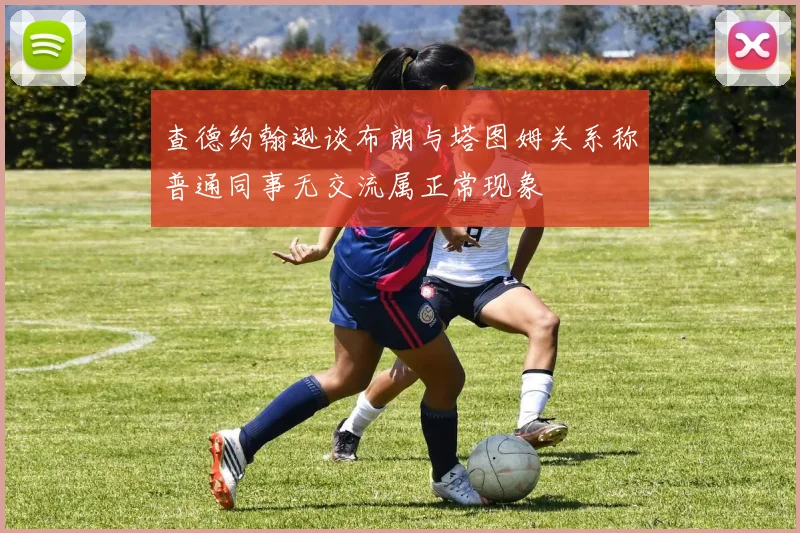 查德约翰逊谈布朗与塔图姆关系称普通同事无交流属正常现象